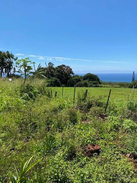https://bt-photos.global.ssl.fastly.net/hawaii/orig_boomver_1_729757-1.jpg