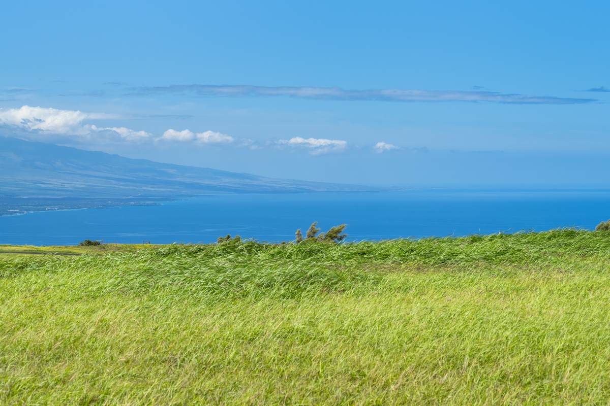 https://bt-photos.global.ssl.fastly.net/hawaii/orig_boomver_1_730001-1.jpg