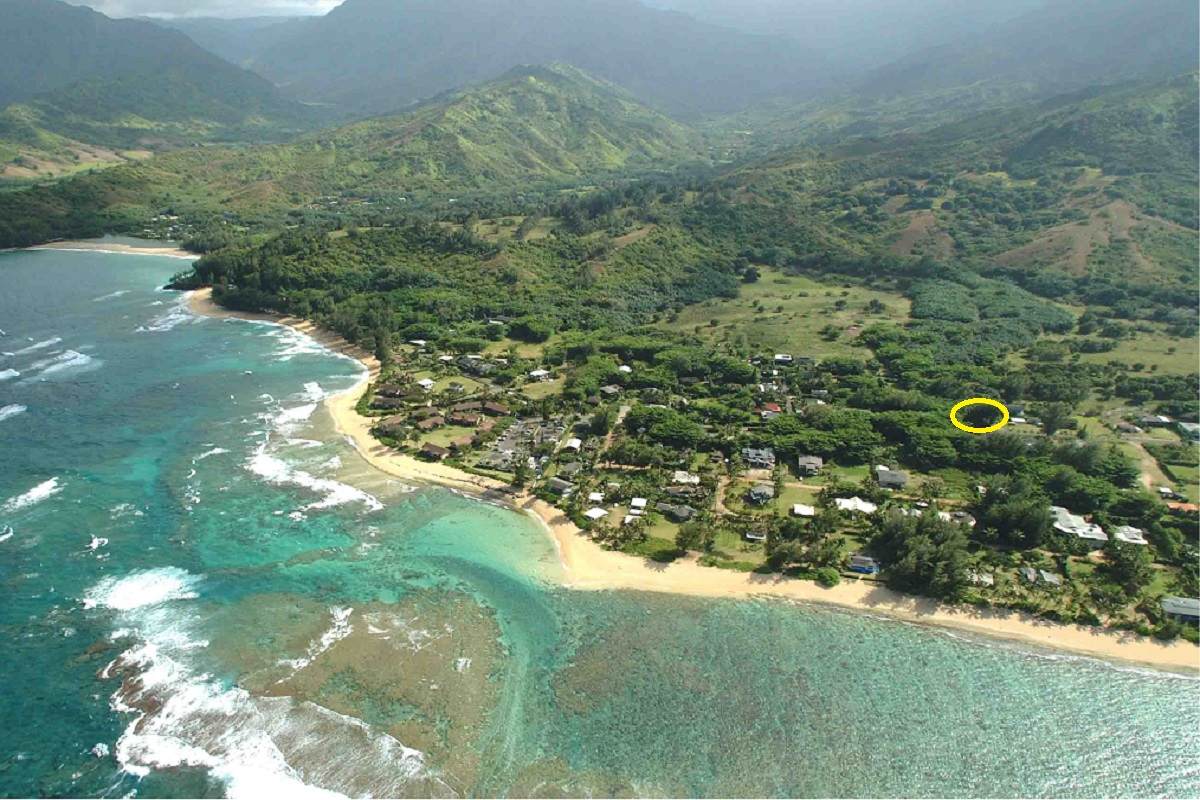  Cr Kuhio Hwy/Alamihi Rd - Photo 1
