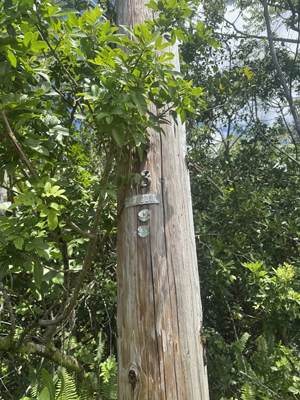 https://bt-photos.global.ssl.fastly.net/hawaii/orig_boomver_1_730381-1.jpg