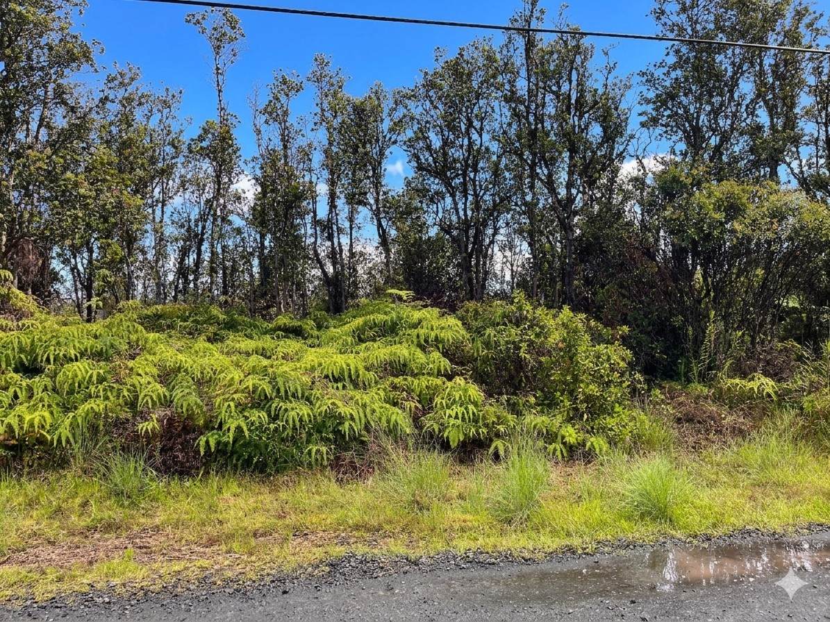 11-3246 Malia Aina Rd - Photo 1