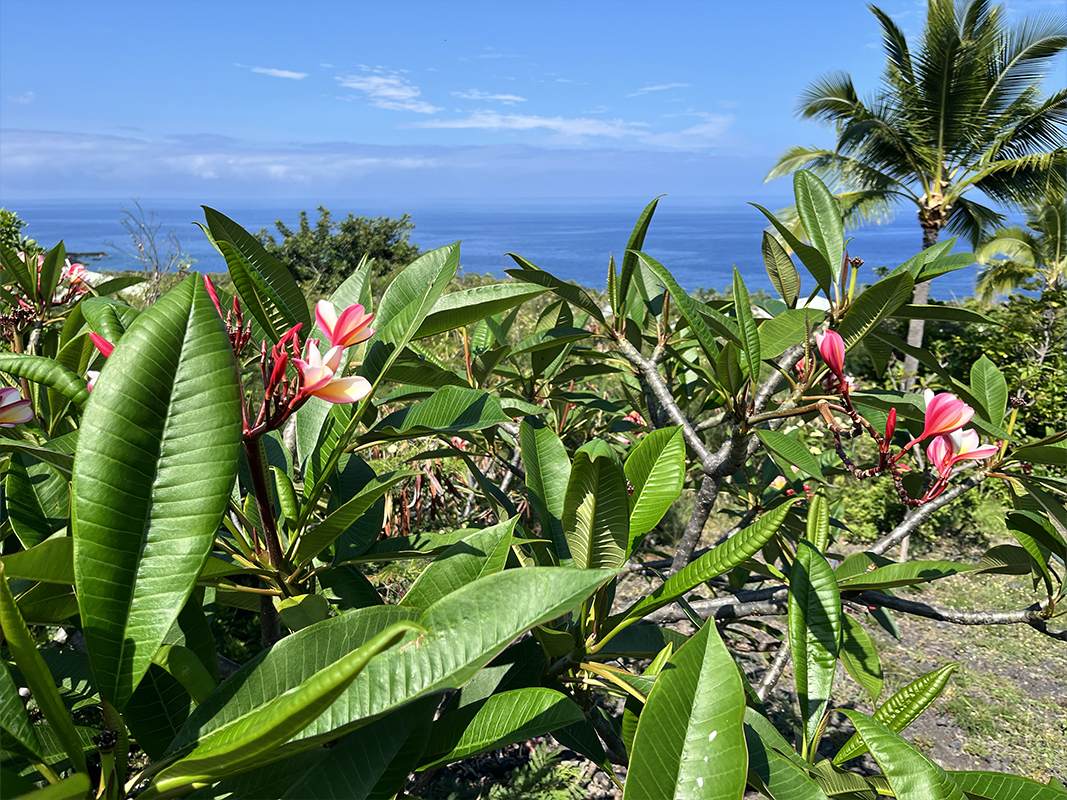  Kaohe Rd - Photo 1