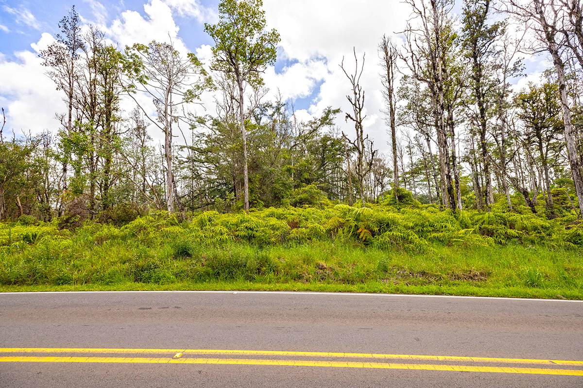  Road 8 (Moho) - Photo 1