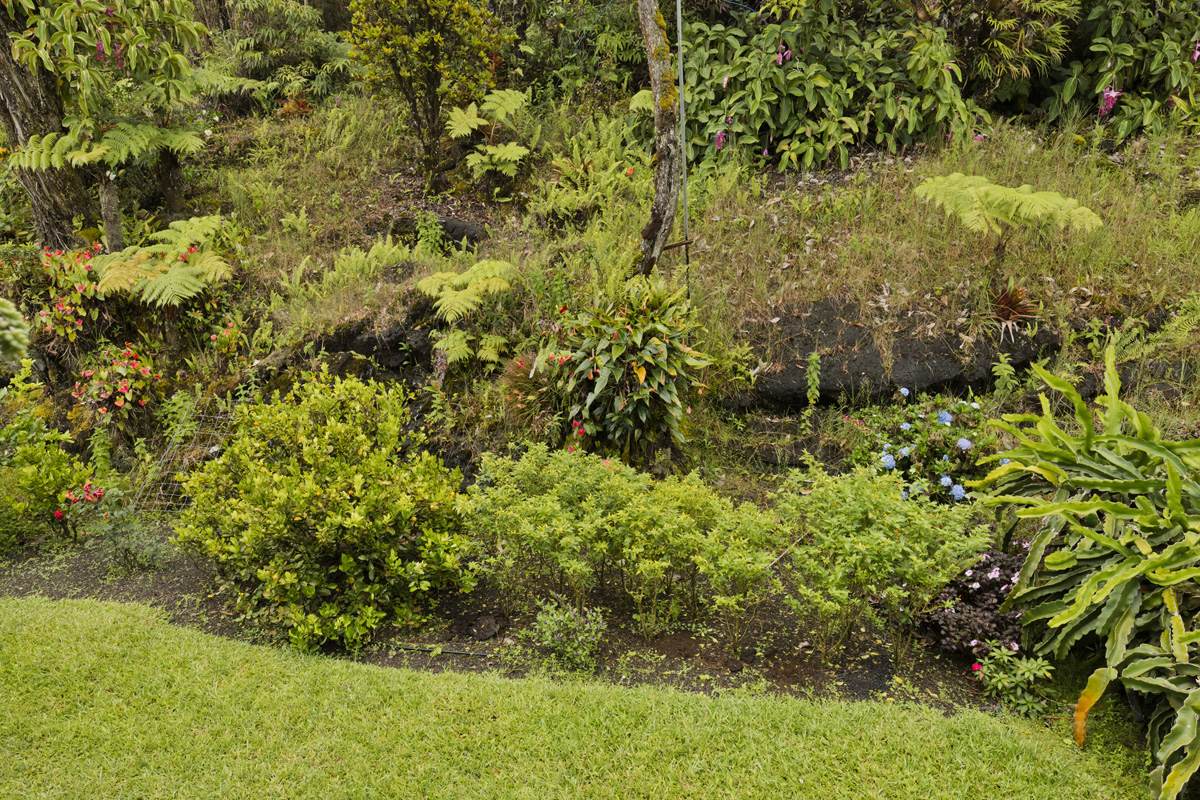 https://bt-photos.global.ssl.fastly.net/hawaii/orig_boomver_1_730691-1.jpg