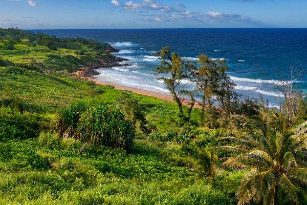 https://bt-photos.global.ssl.fastly.net/hawaii/orig_boomver_1_730731-1.jpg