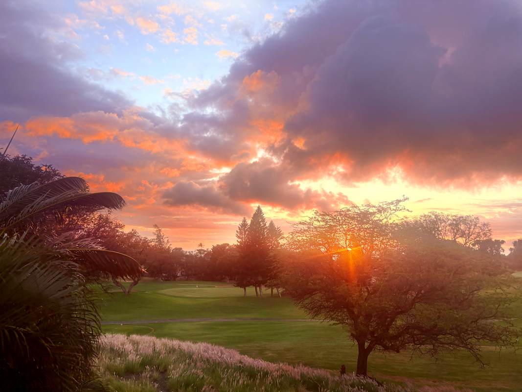 https://bt-photos.global.ssl.fastly.net/hawaii/1280_boomver_1_730741-1.jpg