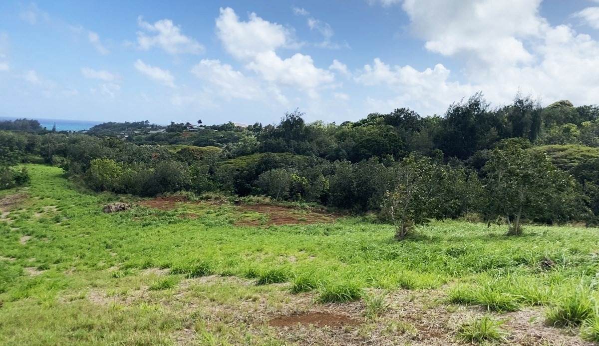  Laipo Rd - Photo 1