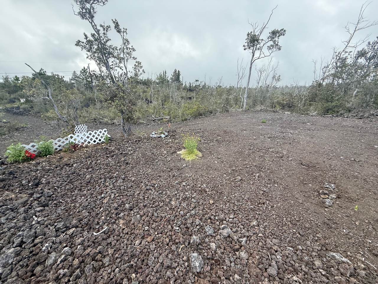 https://bt-photos.global.ssl.fastly.net/hawaii/1280_boomver_1_730908-1.jpg