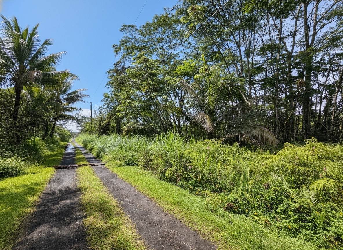 https://bt-photos.global.ssl.fastly.net/hawaii/orig_boomver_1_730911-1.jpg