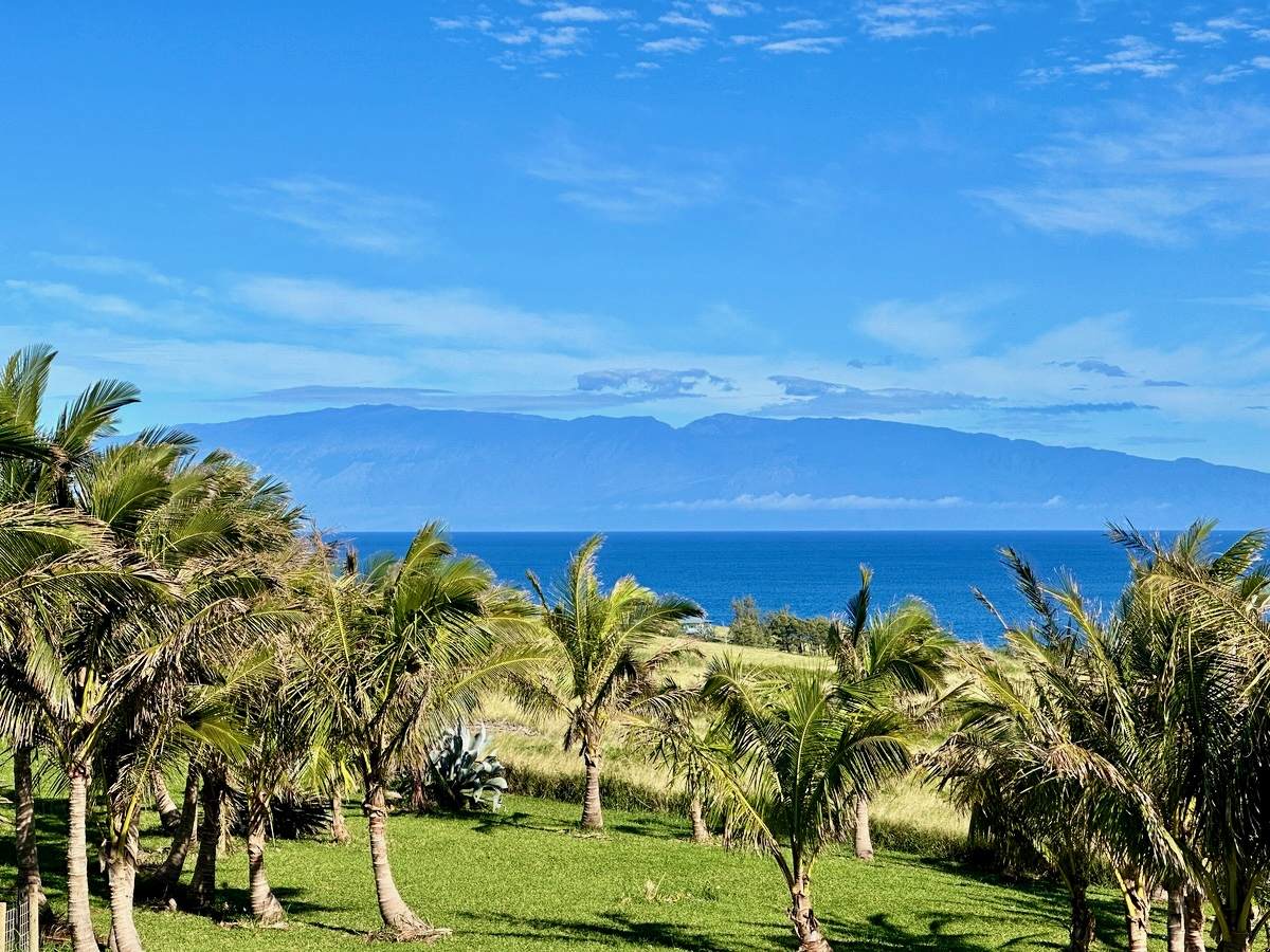 https://bt-photos.global.ssl.fastly.net/hawaii/1280_boomver_1_731423-1.jpg