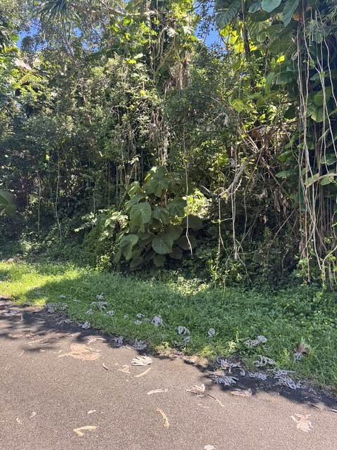 https://bt-photos.global.ssl.fastly.net/hawaii/orig_boomver_1_731609-1.jpg