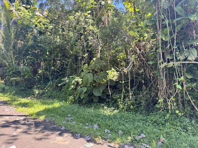 https://bt-photos.global.ssl.fastly.net/hawaii/orig_boomver_1_731609-1.jpg