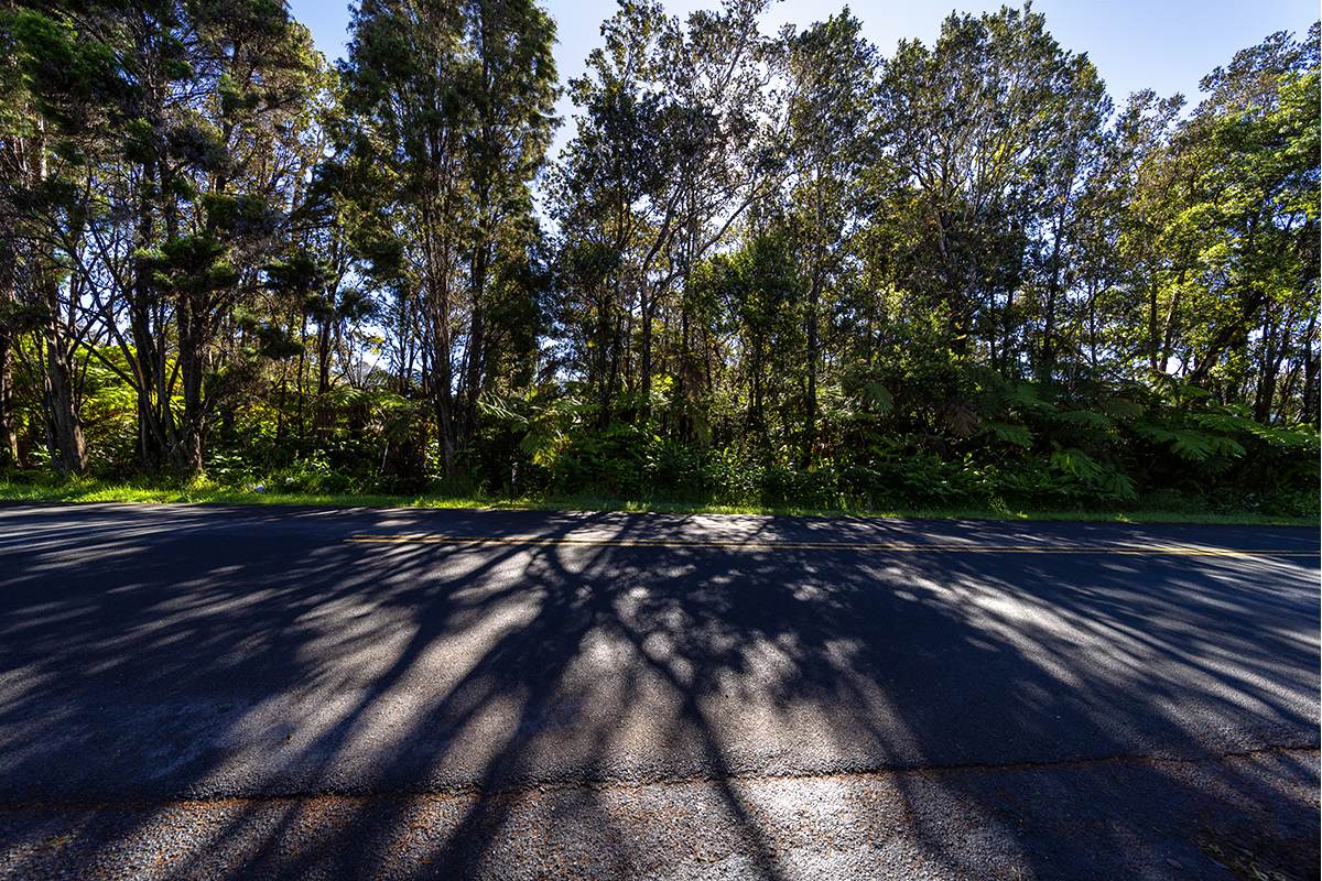  Wright Rd - Photo 1