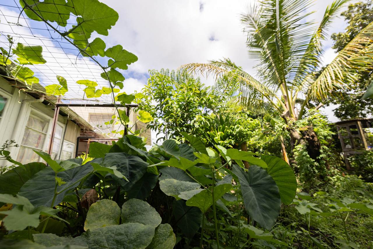 https://bt-photos.global.ssl.fastly.net/hawaii/orig_boomver_1_731664-1.jpg