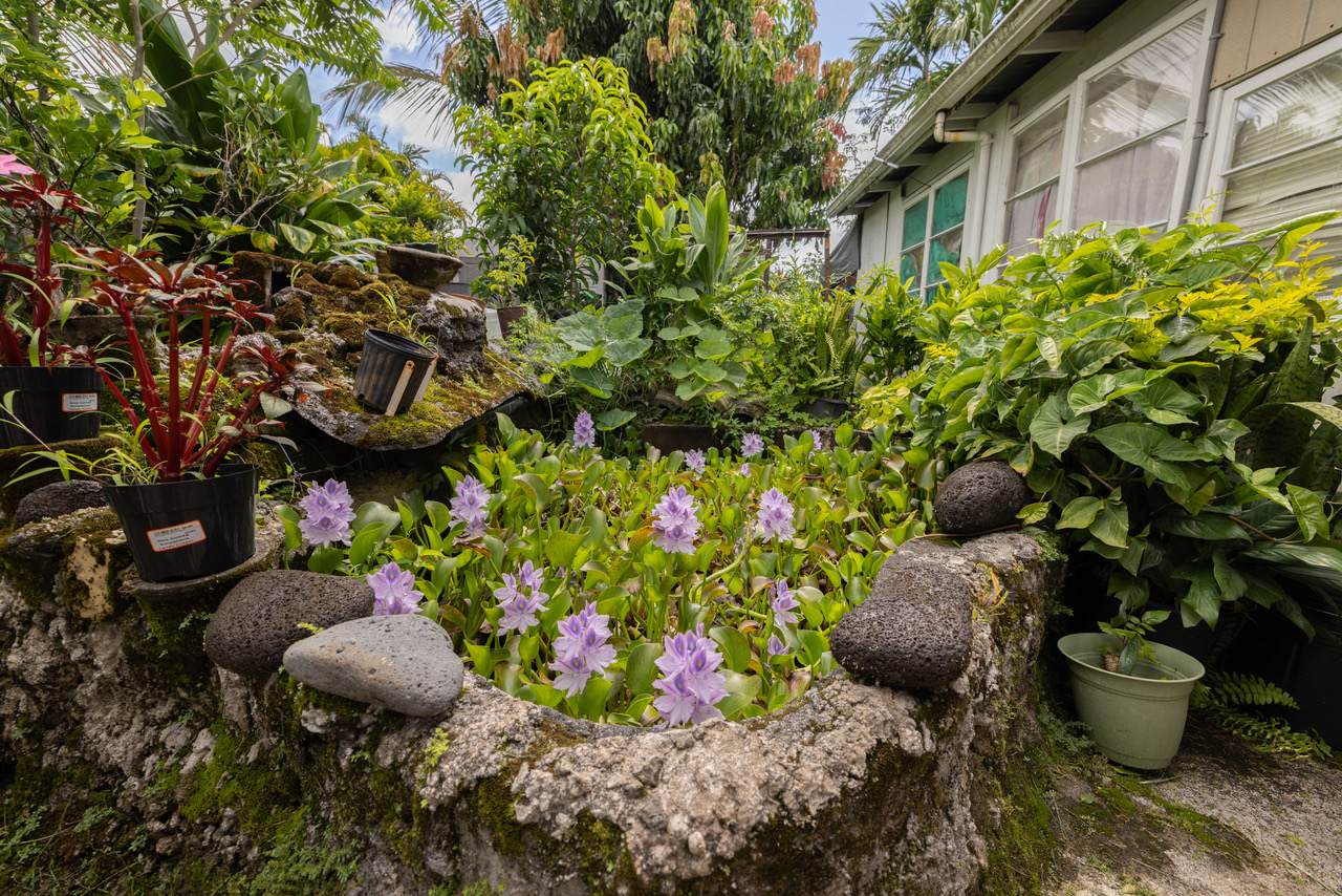 https://bt-photos.global.ssl.fastly.net/hawaii/orig_boomver_1_731664-1.jpg