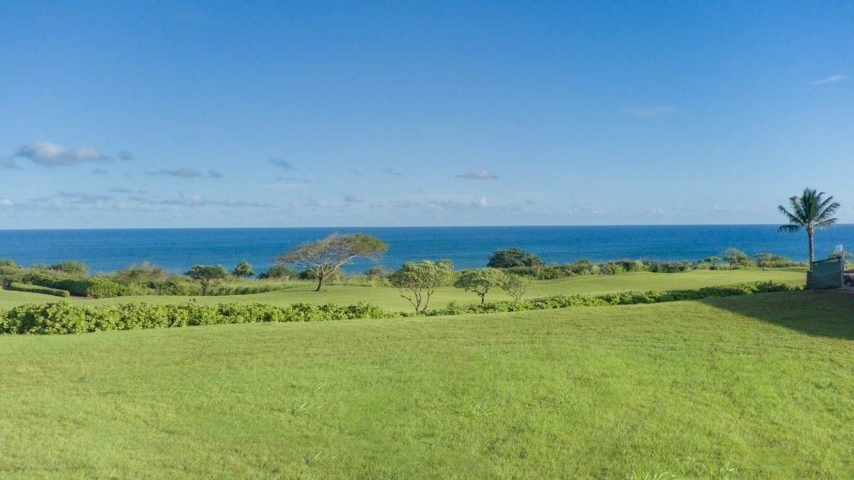 https://bt-photos.global.ssl.fastly.net/hawaii/orig_boomver_1_731712-1.jpg