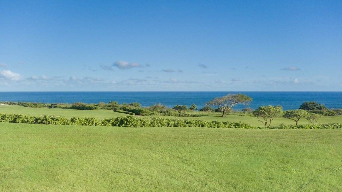 https://bt-photos.global.ssl.fastly.net/hawaii/orig_boomver_1_731712-1.jpg
