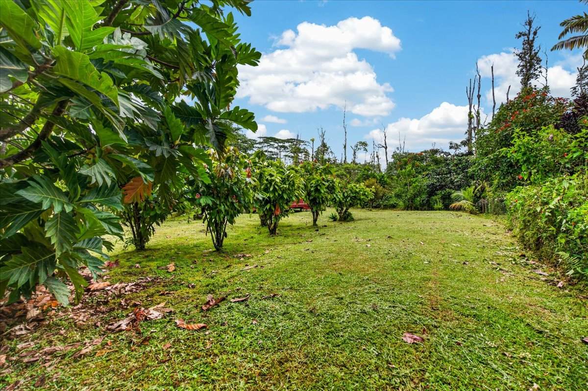 https://bt-photos.global.ssl.fastly.net/hawaii/orig_boomver_1_731798-1.jpg
