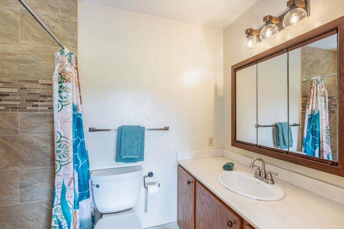 4100 Omao Rd - Photo 1