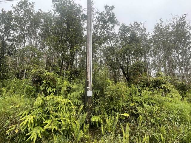  Makoa Rd - Photo 1