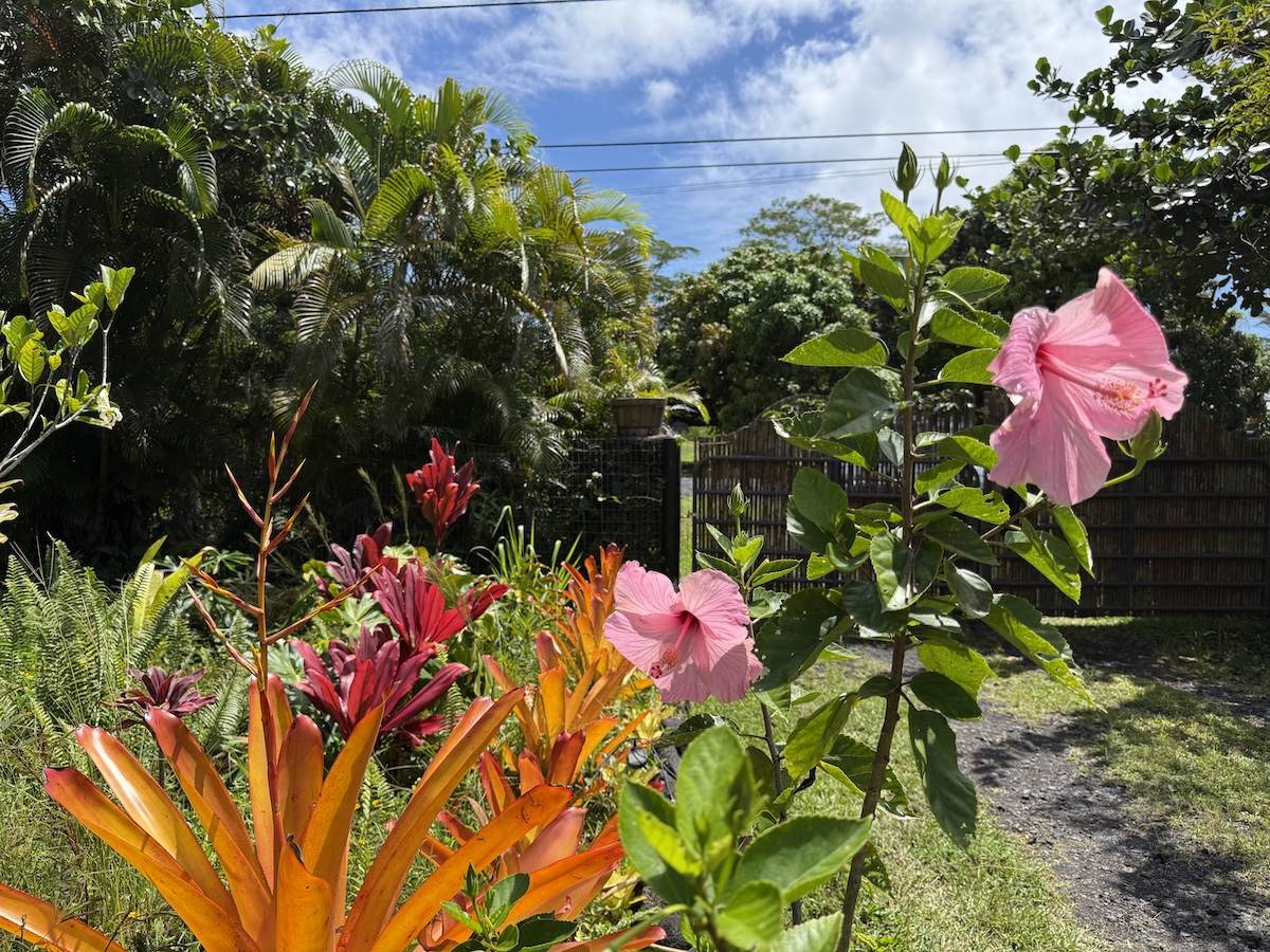 https://bt-photos.global.ssl.fastly.net/hawaii/orig_boomver_1_732116-1.jpg