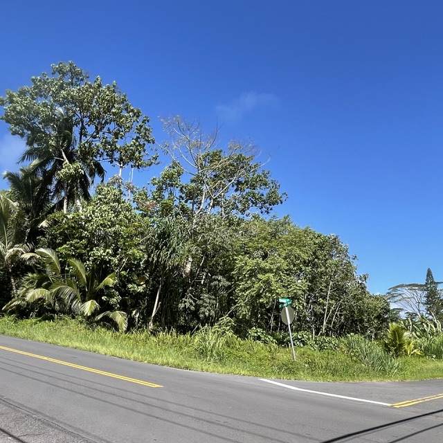  Kahakai Blvd - Photo 1