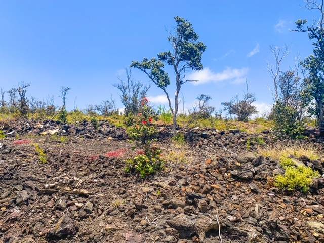  Pineapple Pkwy - Photo 1