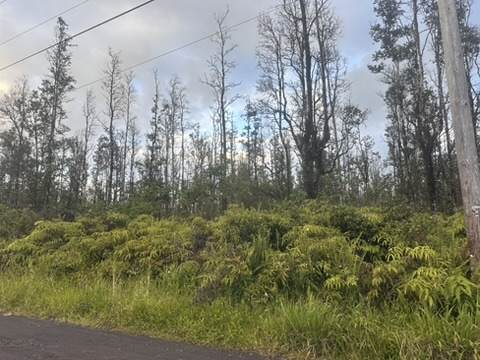  Aulii St - Photo 1