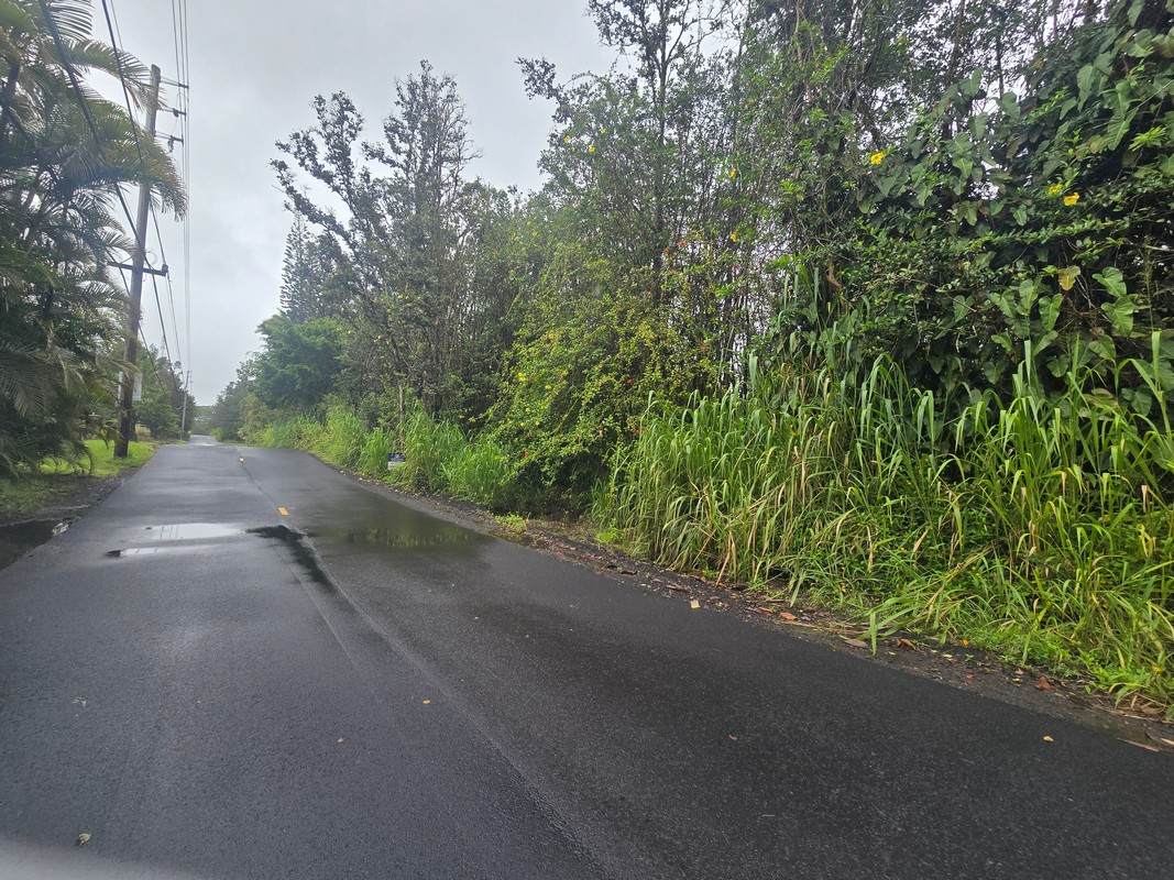  Road 1 (Uhini Ana) - Photo 1