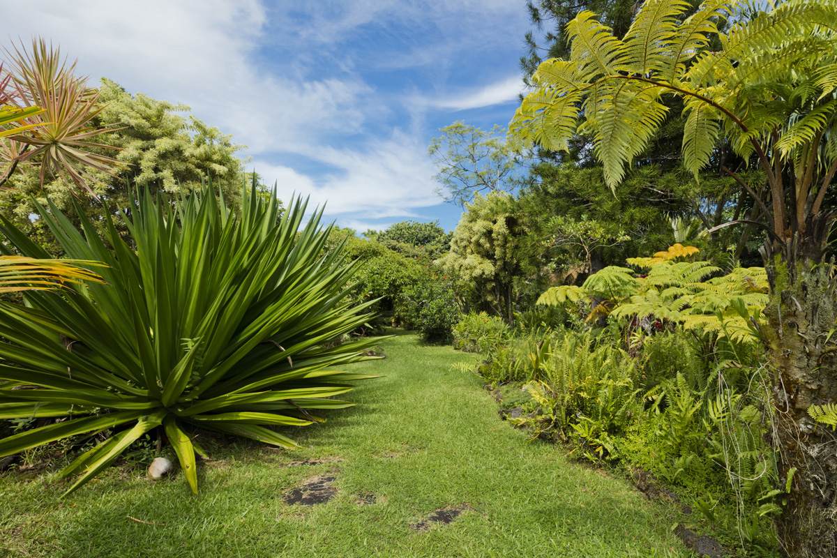 https://bt-photos.global.ssl.fastly.net/hawaii/orig_boomver_1_732486-1.jpg