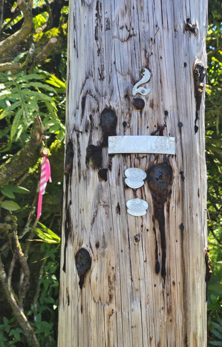 https://bt-photos.global.ssl.fastly.net/hawaii/orig_boomver_1_732494-1.jpg