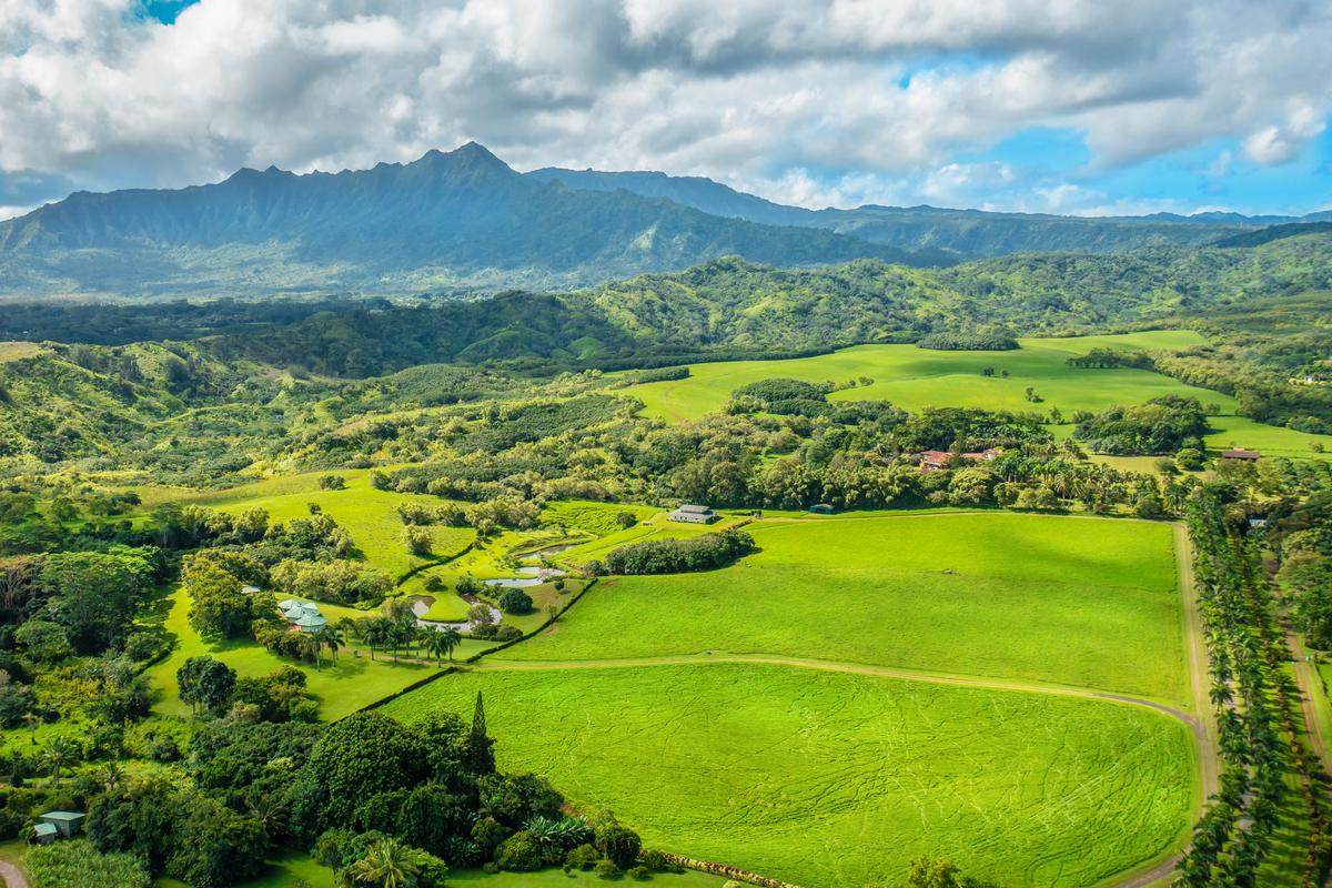 https://bt-photos.global.ssl.fastly.net/hawaii/orig_boomver_1_732766-1.jpg