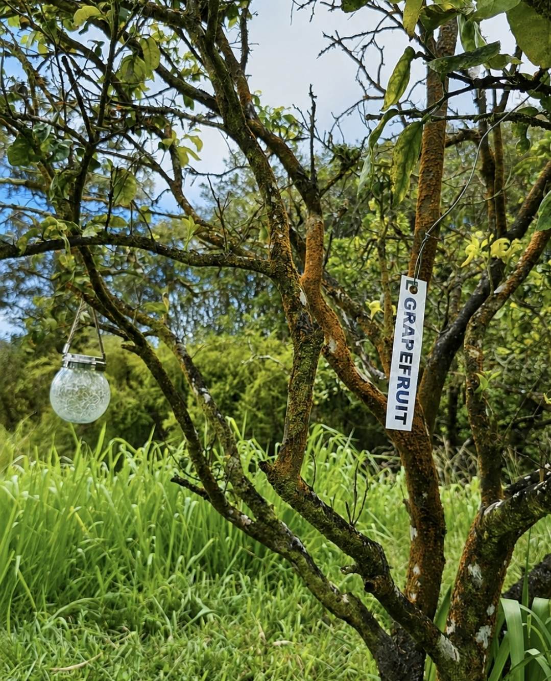 https://bt-photos.global.ssl.fastly.net/hawaii/orig_boomver_1_732819-1.jpg