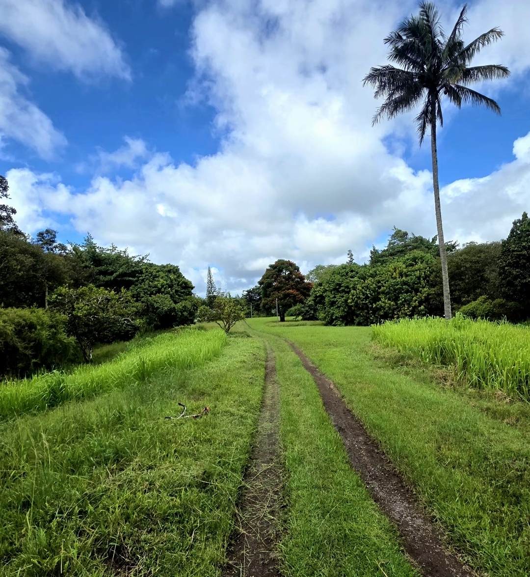 https://bt-photos.global.ssl.fastly.net/hawaii/orig_boomver_1_732819-1.jpg