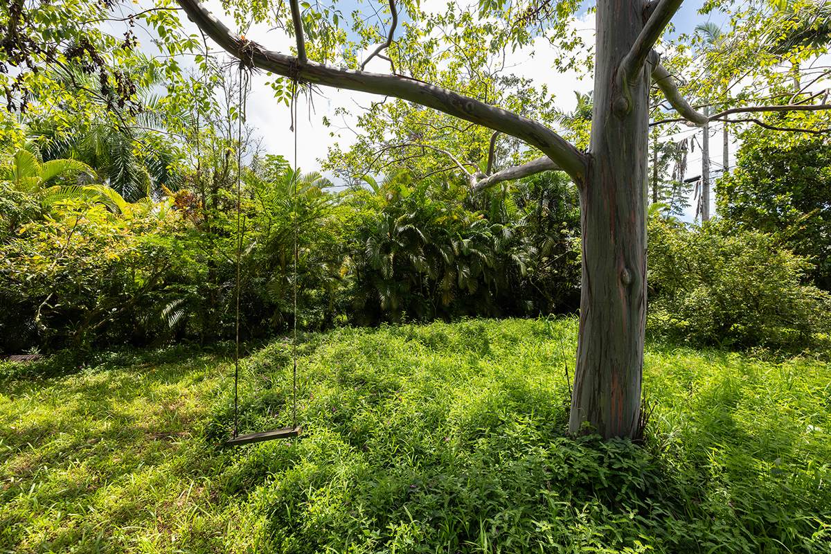 https://bt-photos.global.ssl.fastly.net/hawaii/orig_boomver_1_733280-1.jpg