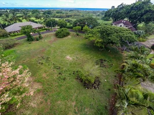 2979 Pua Alani Pl. - Photo 1
