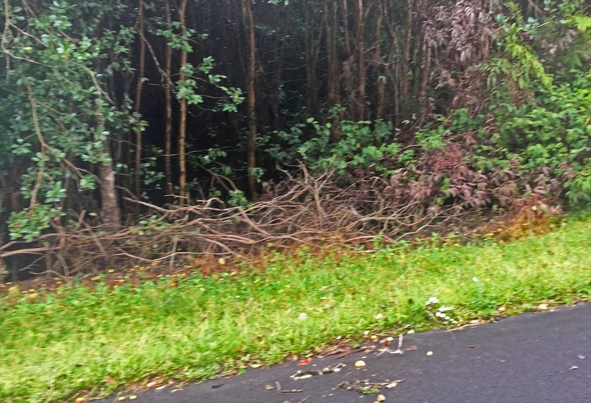 Ekika Rd - Photo 1