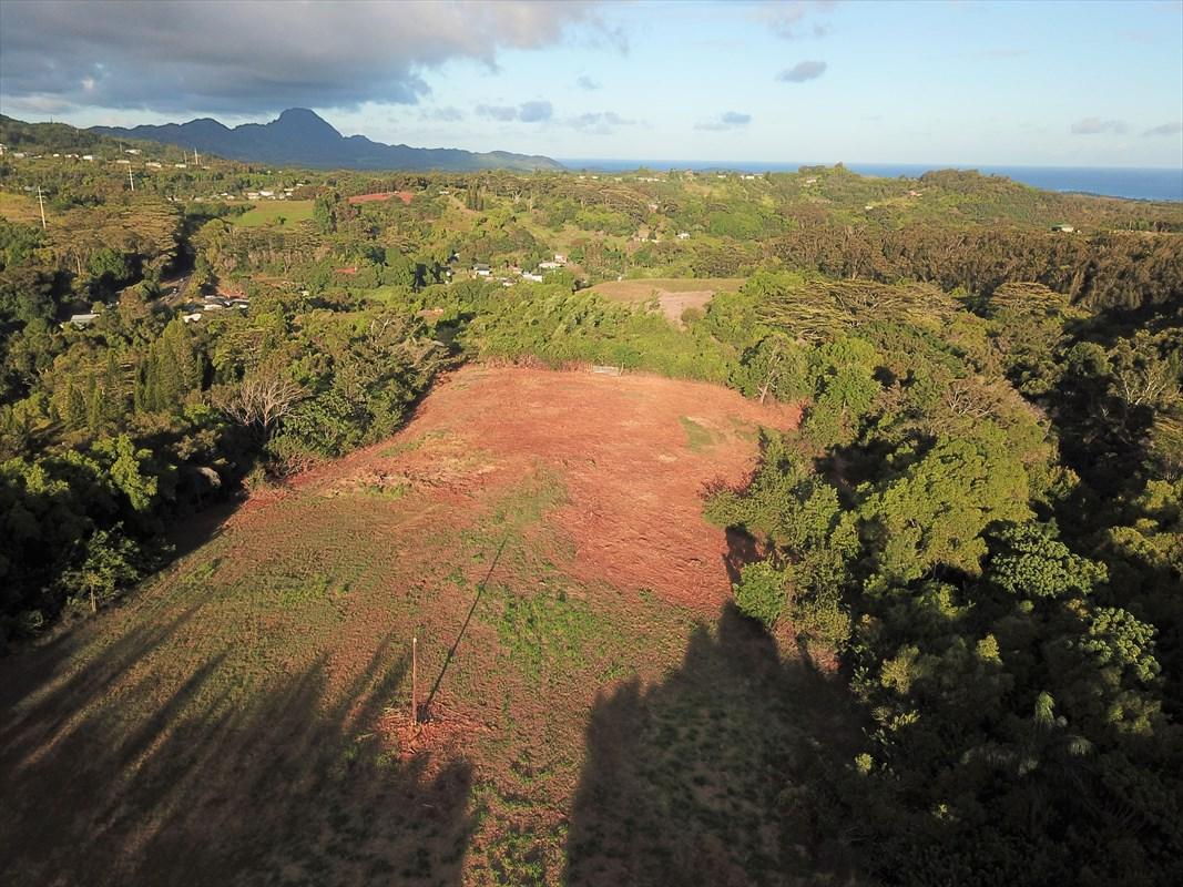 Kaumualii Hwy - Photo 1