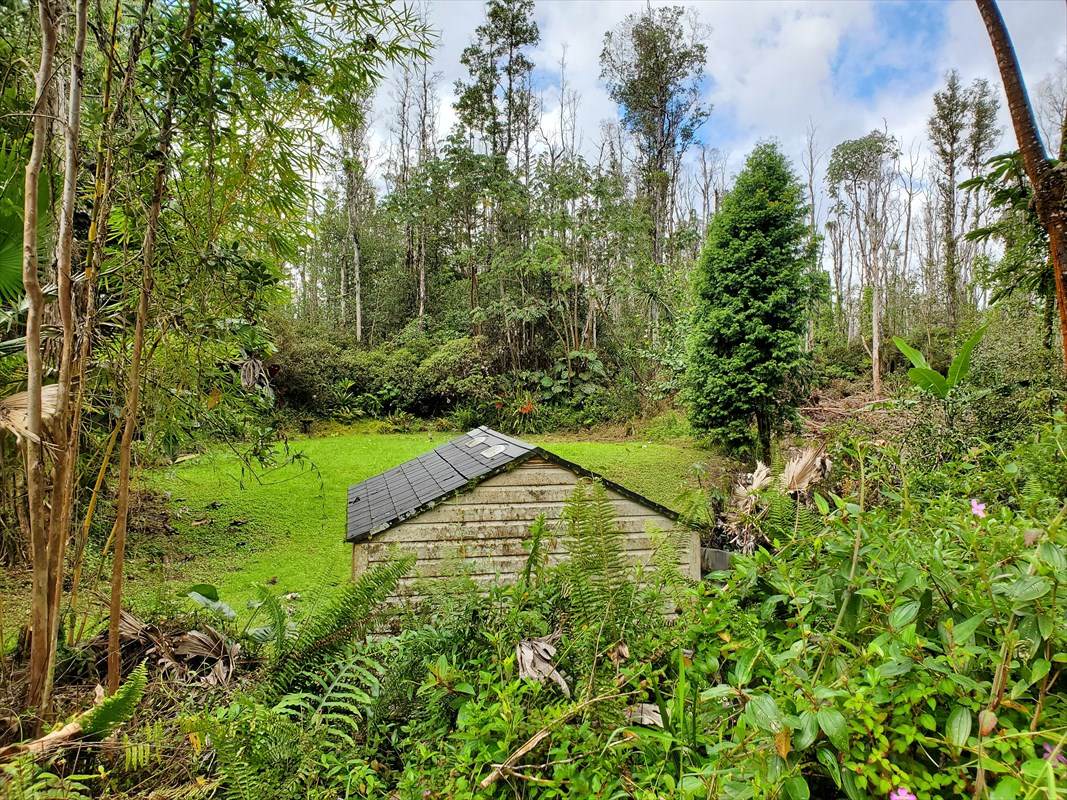 Hibiscus Dr - Photo 1