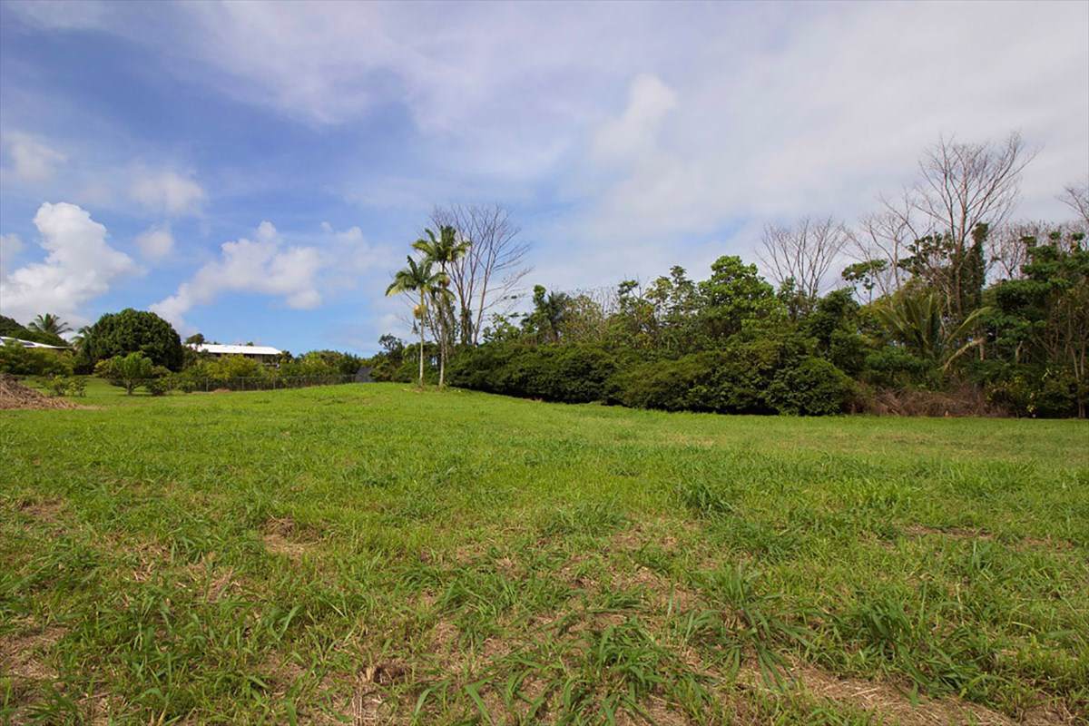 Meaulu St - Photo 1