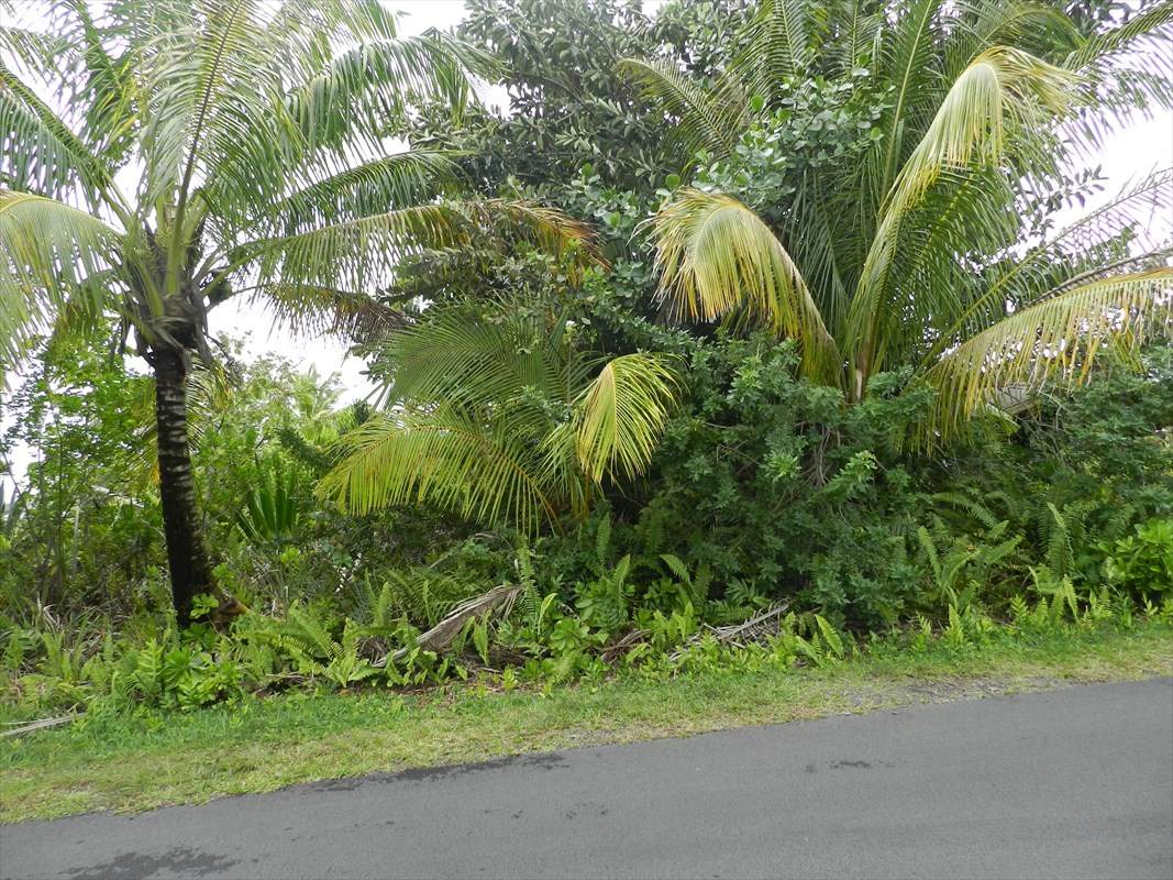 Mapuana Ave - Photo 1