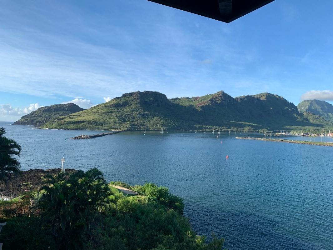 3211 Kalapaki Circle - Photo 1