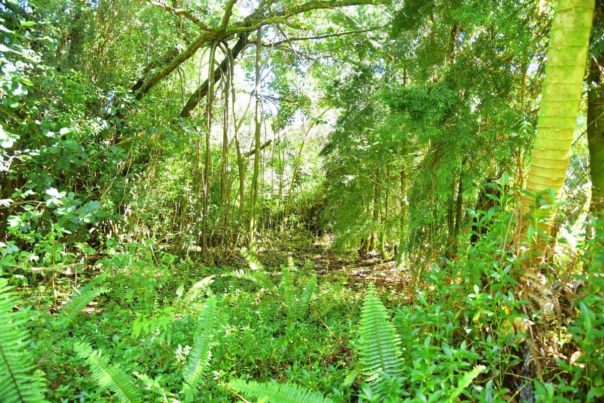 Railroad Rd - Photo 1