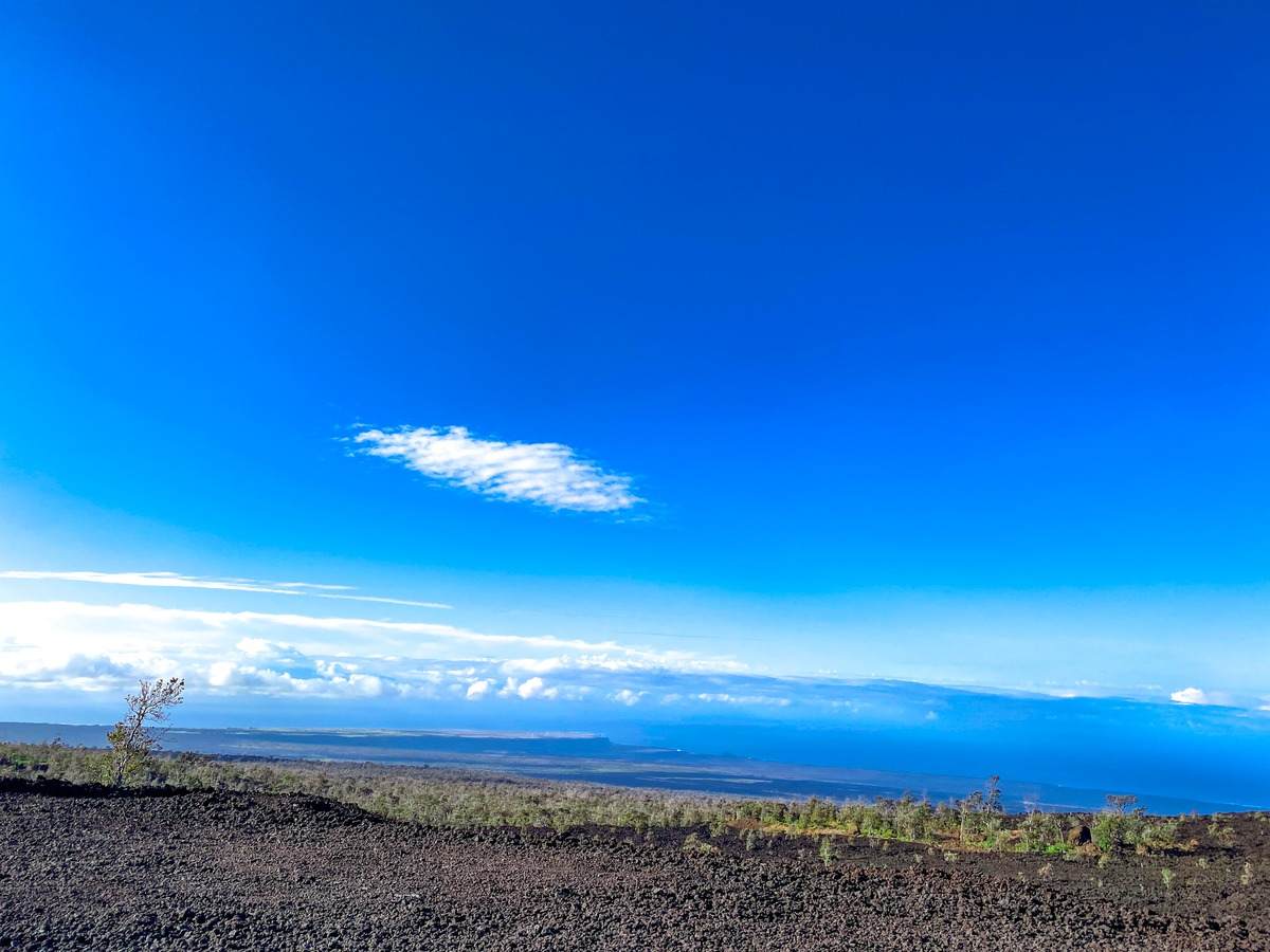 Kona Dr - Photo 1