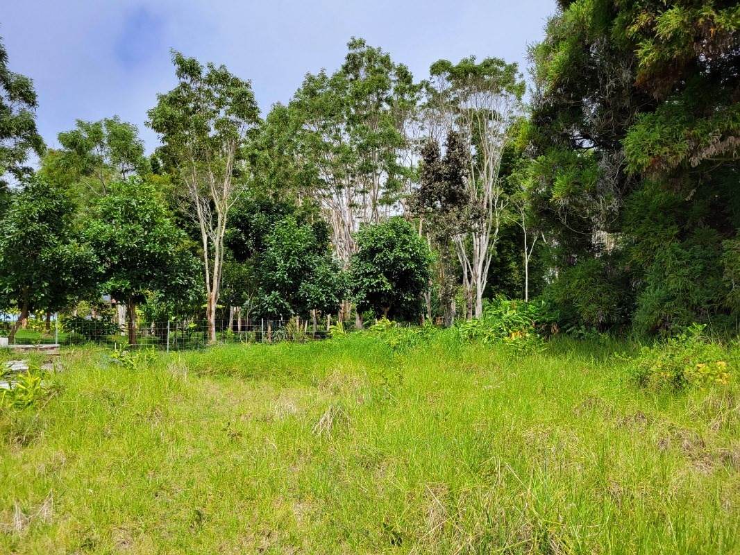 Maunanani Pl - Photo 1