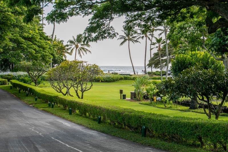 2253 Poipu Rd - Photo 1