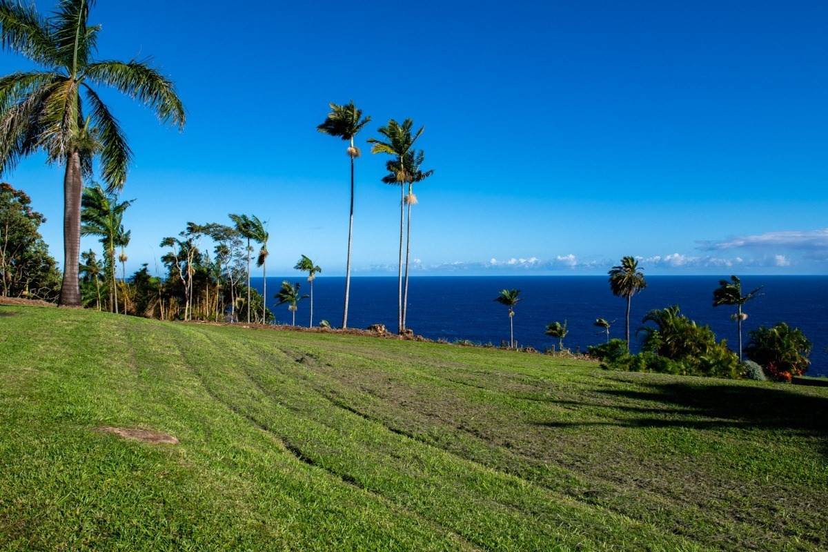 Hula Ana Place - Photo 1