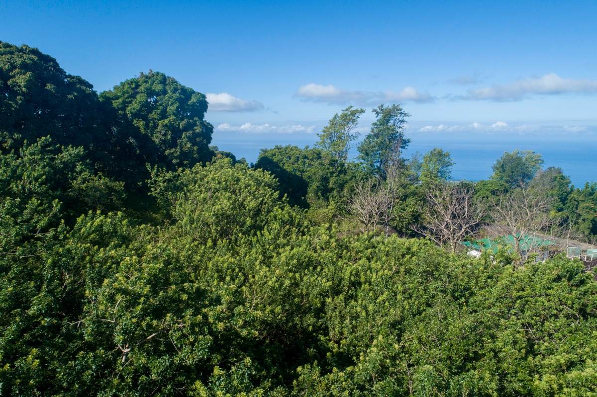 75-5446 Nalo Meli Dr - Photo 1