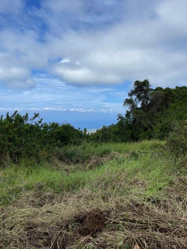 75-5444 Nalo Meli Dr - Photo 1