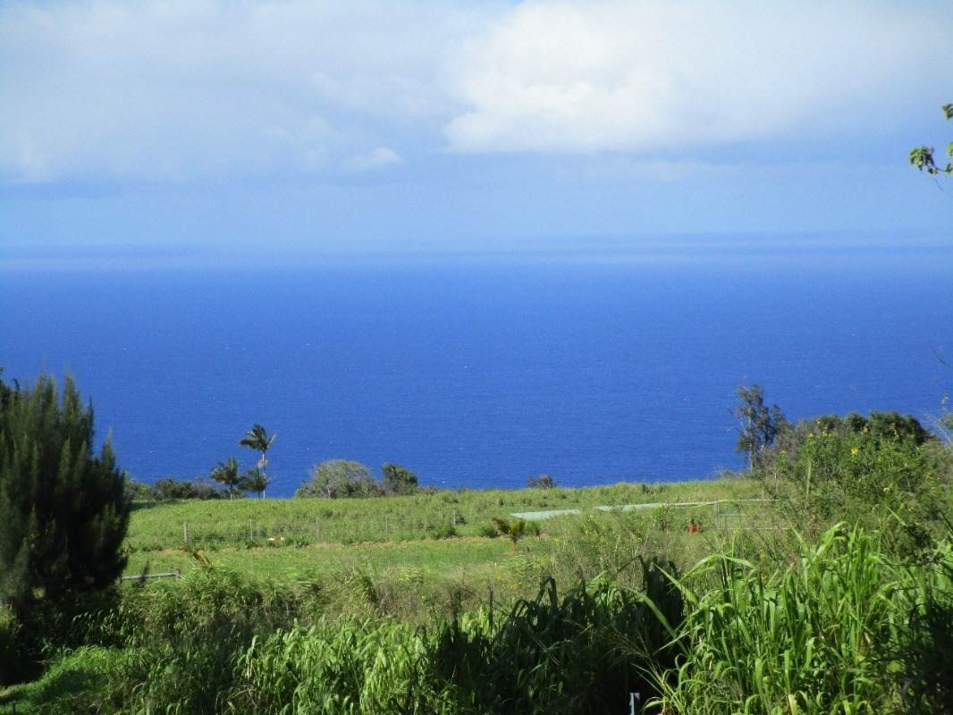 Papaaloa Rd. - Photo 1